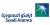 Saudi Aramco Logo